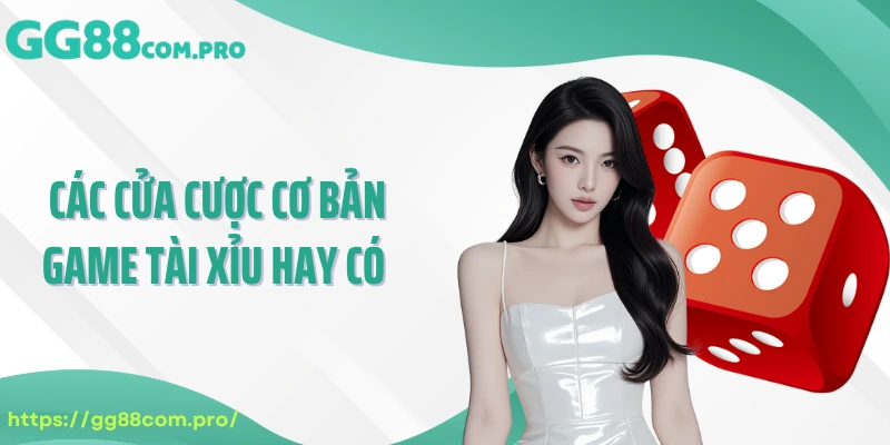 Các cửa cược cơ bản game tài xỉu hay có